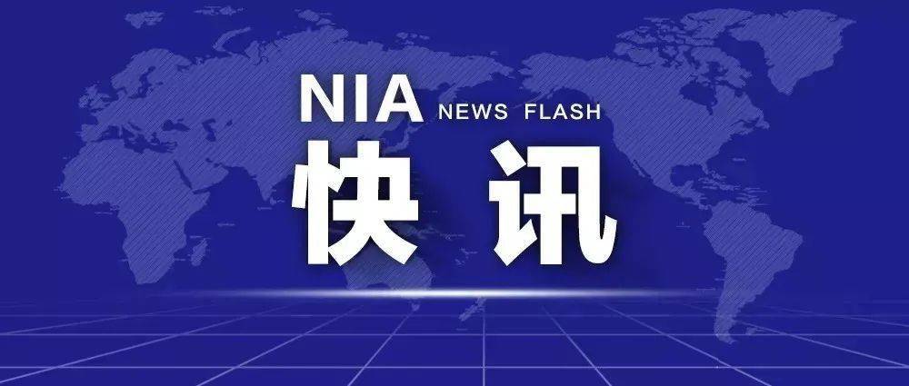 2025澳门今晚必开一肖;警惕虚假宣传-全面贯彻解释落实